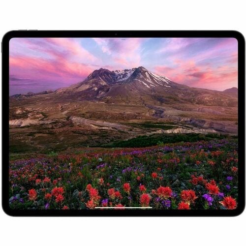 Tableta Apple iPad Pro, 13 pulgadas, procesador M4, 8GB RAM, SSD 512GB, iPasOS, Tecnología True Tone