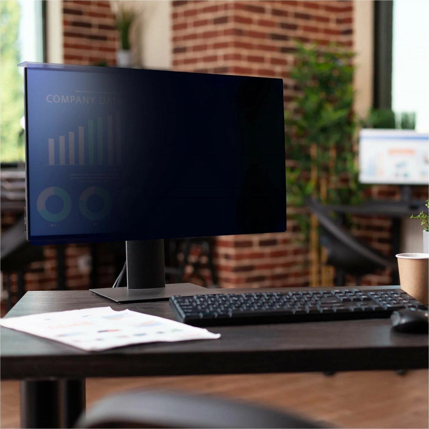 Filtro de Privacidad 16:10 para Monitor de 24" StarTech
