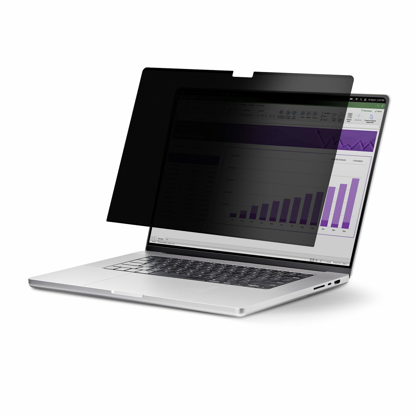 StarTech.com FILTRO DE PRIVACIDAD TACTIL 16:10 PARA LAPTOP DE 17IN FILTRO DE PRIVACIDAD TACTIL 16:10 PARA LAPTOP DE 17IN