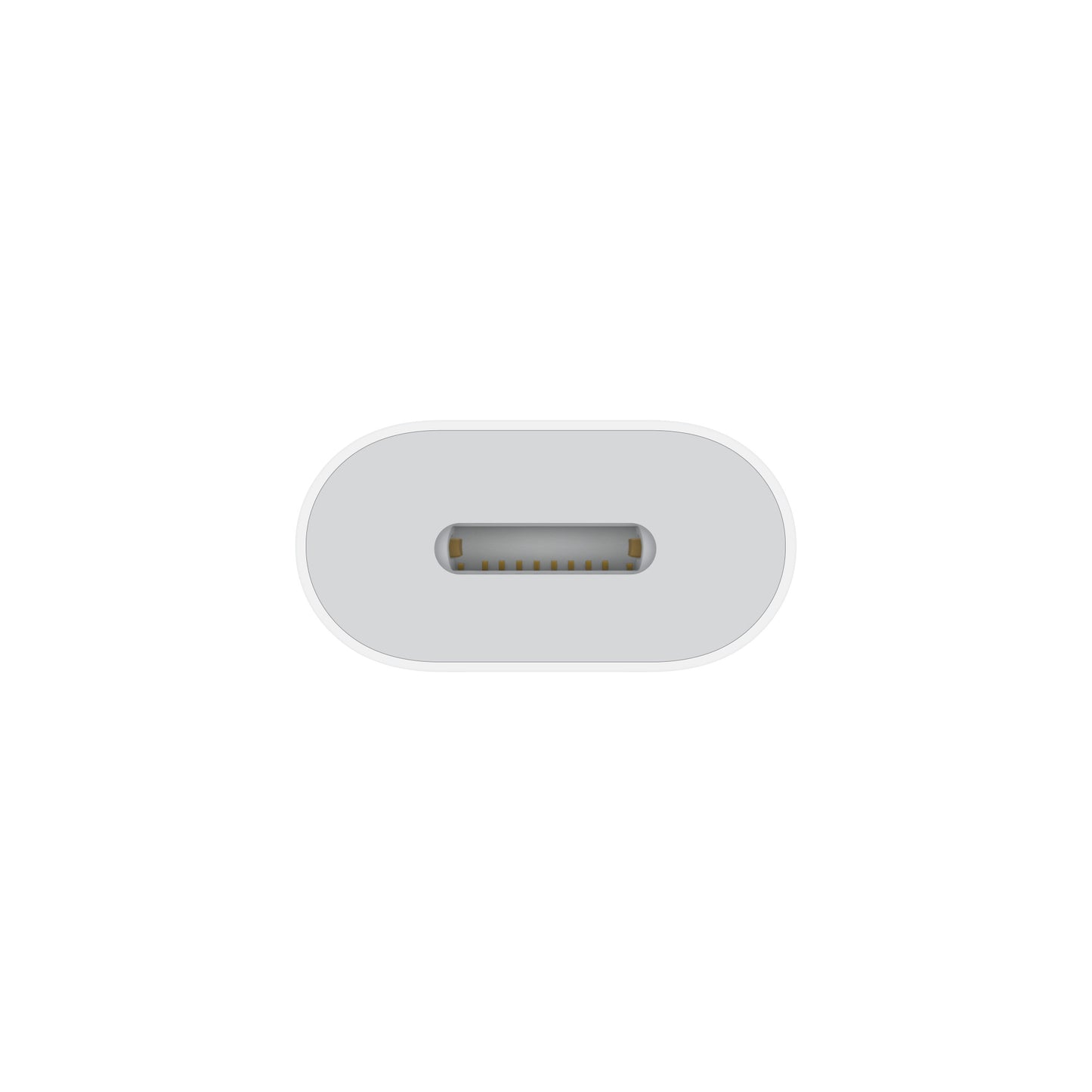 Apple adaptador de USB-C a Lightning