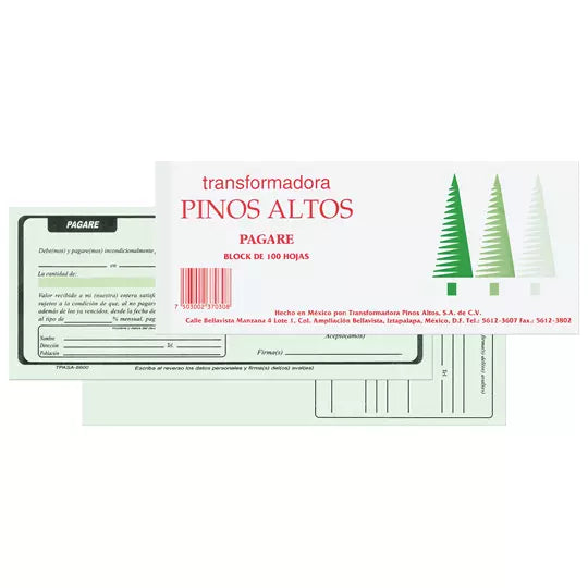 Pagare Pinos Altos block con 100 hojas.