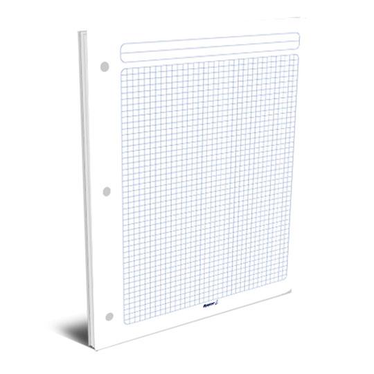 Hojas de repuesto para carpeta RAYTER carta cuadro chico 5 mm - 100 hojas