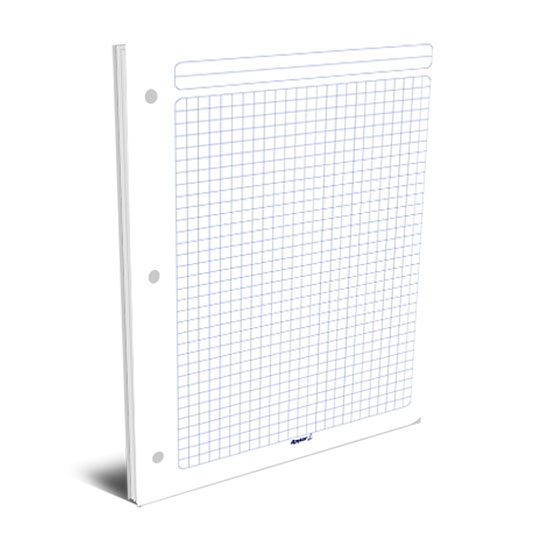Hojas de repuesto para carpeta RAYTER carta cuadro grande 7mm - 100 hojas