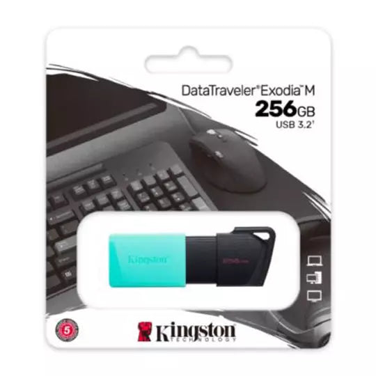 Memoria Flash Kingston de 256gb