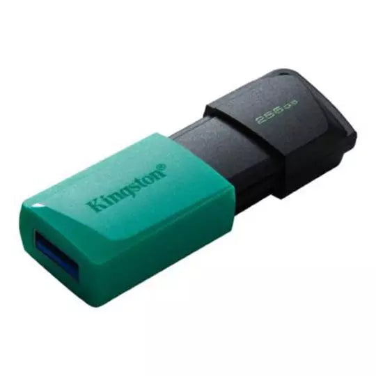 Memoria Flash Kingston de 256gb