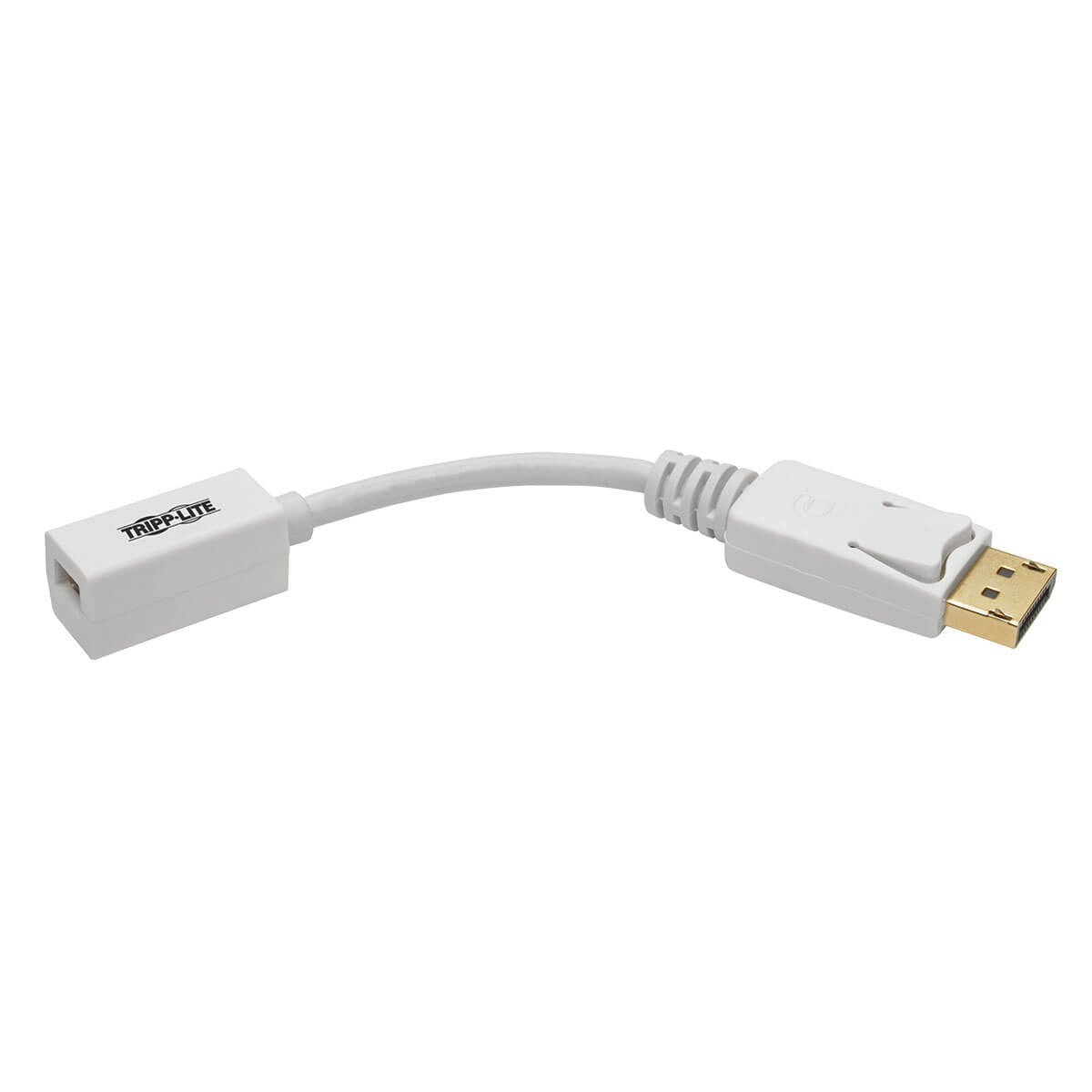 Adaptador Tripp Lite P134-06N-MDP, DisplayPort Macho - Mini DisplayPort Hembra, Blanco