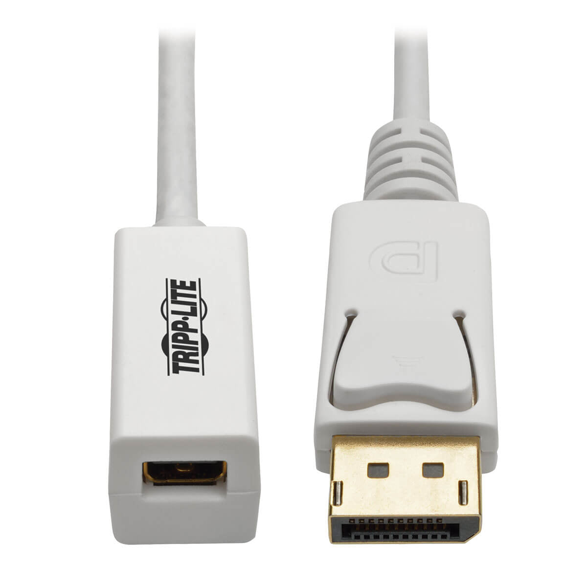 Adaptador Tripp Lite P134-06N-MDP, DisplayPort Macho - Mini DisplayPort Hembra, Blanco