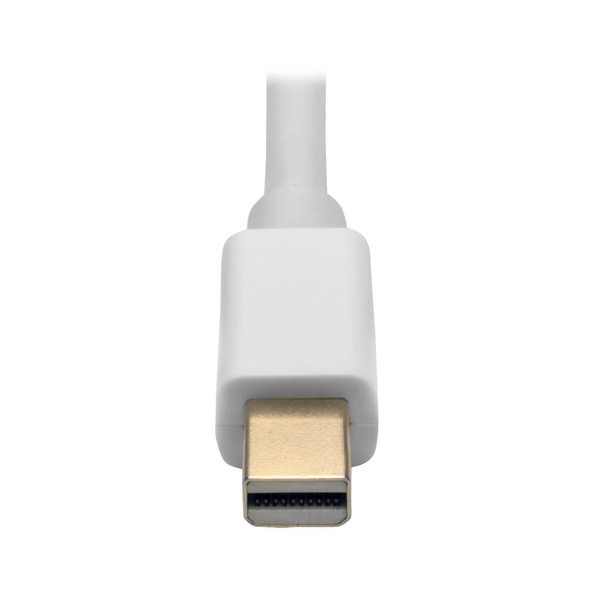 Adaptador Tripp Lite P137-06N-DVI-DL, Displayport Macho - DVI hembra de Doble Enlace, Blanco
