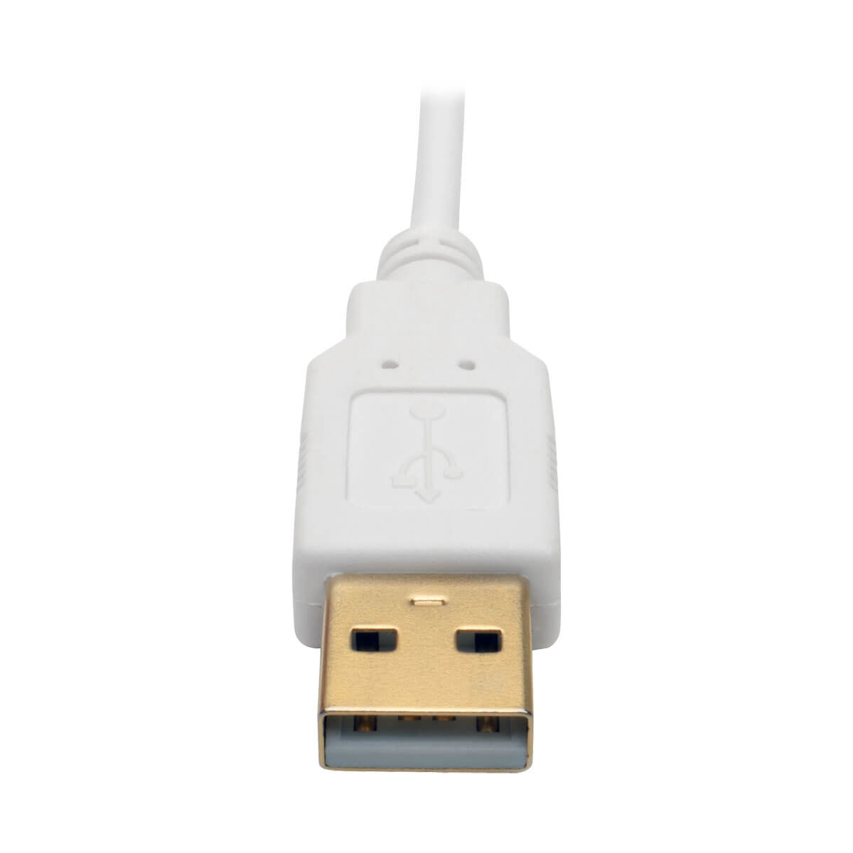 Adaptador Tripp Lite P137-06N-DVI-DL, Displayport Macho - DVI hembra de Doble Enlace, Blanco