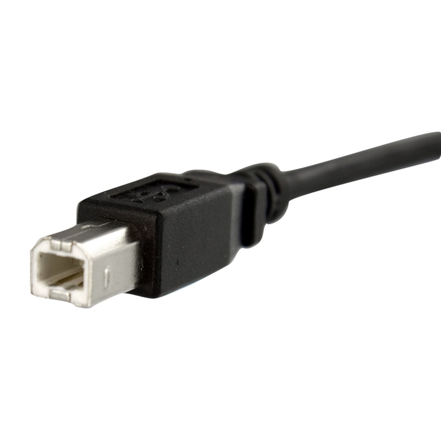 STARTECH CONSIG CABLE 0.3M EXTENSOR USB B ADAP MONTAJE EN PANEL HEMBRA A MACHO .