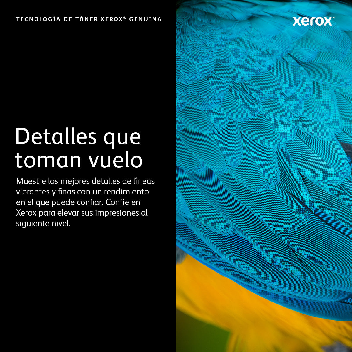 106R03746 Tóner Xerox Amarillo, 11.800 Páginas