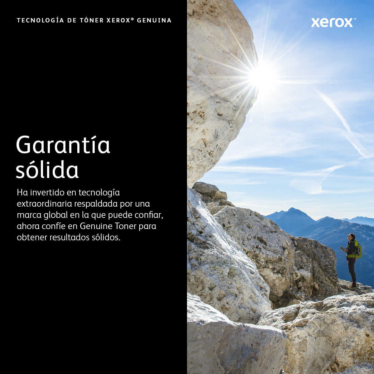 106R03765 Tóner Xerox Negro, 10.700 Páginas