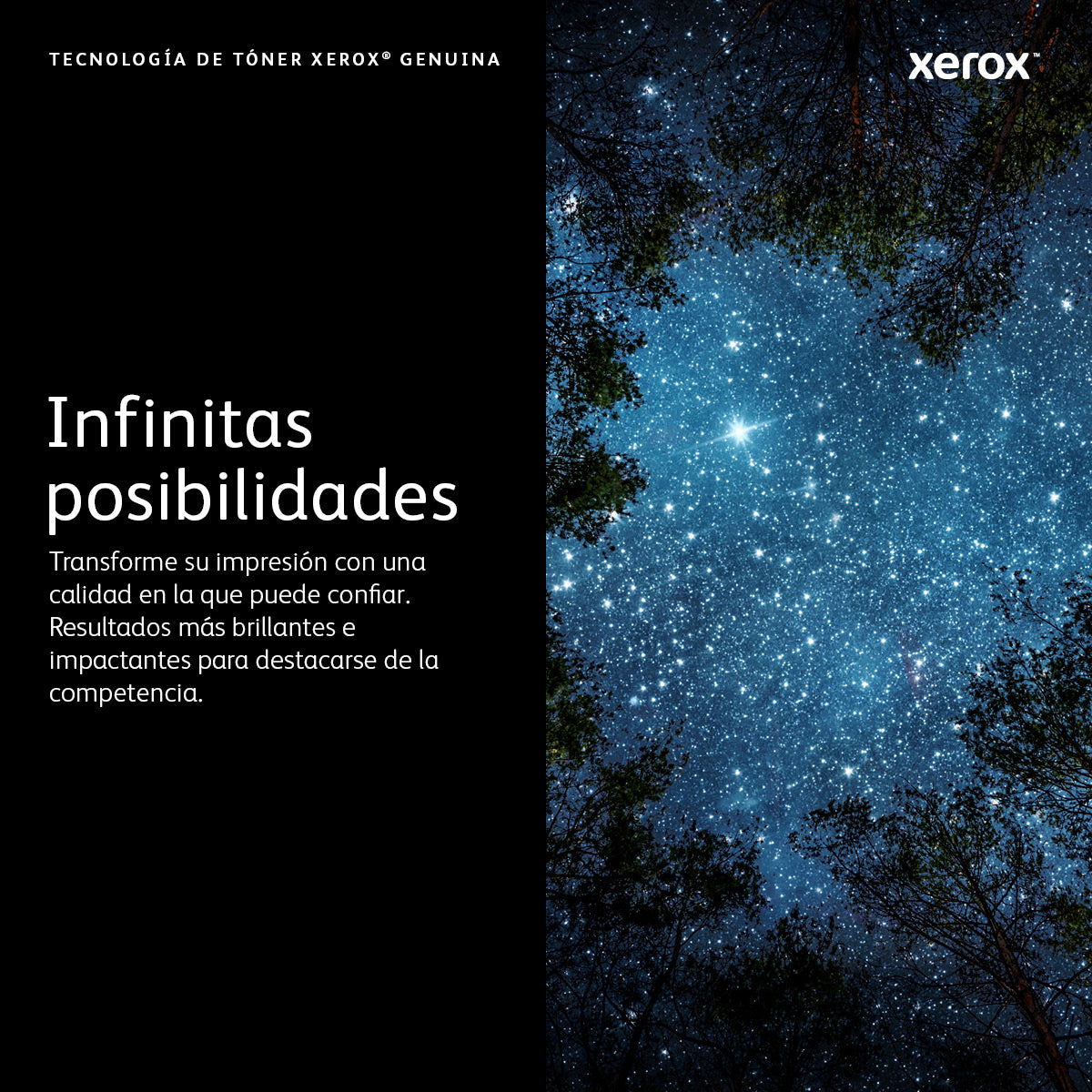XEROX SUPP A4 MON TONER CAPACIDAD ESTANDAR NEGRO TONR 3000 PAGINAS B305/B310/B325