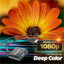 Convertidor HDMI a VGA + Audio 3.5mm Manhattan 151559 | 1080p | Activo | Para Conectar Laptop HDMI a Proyector o Monitor VGA Heredado | SKU 151559