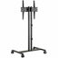 Soporte Movil de Piso para Pantalla, 35kg Capacidad de carga