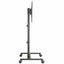 Soporte Movil de Piso para Pantalla, 35kg Capacidad de carga