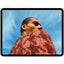 Tableta Apple iPad Pro, 13 pulgadas, procesador M4, 8GB RAM, Almacenamiento 256GB, iPadOS 18.1, WiFi, Bluetooth, 1 año de garantía