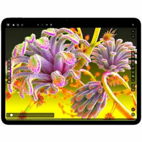 Tableta Apple iPad Pro, 13 pulgadas, procesador M4, 8GB RAM, Almacenamiento 256GB, iPadOS 18.1, WiFi, Bluetooth, 1 año de garantía