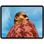 Tableta Apple iPad Pro, 13 pulgadas, procesador M4, 8GB RAM, Almacenamiento 256GB, iPadOS 18.1, WiFi, Bluetooth, 1 año de garantía