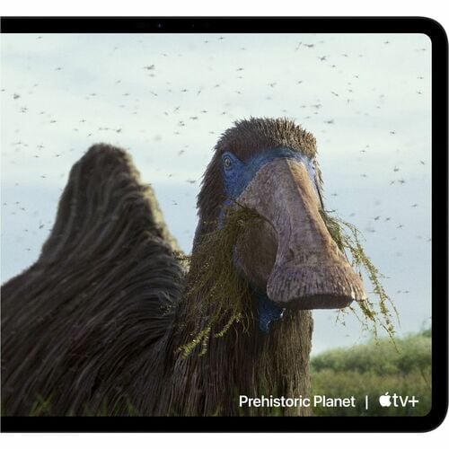 Tableta Apple iPad Pro, 11 pulgadas, procesador M4, 8GB RAM, SSD 256GB, iPad OS 18.1, Tecnología True Tone, 1 año de garantía