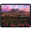 Tableta Apple iPad Pro, 13 pulgadas, procesador M4, 8GB RAM, SSD 512GB, iPasOS, Tecnología True Tone