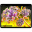 Tableta Apple iPad Pro, 13 pulgadas, procesador M4, 8GB RAM, SSD 512GB, iPasOS, Tecnología True Tone