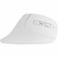 Mouse Inalámbrico 3200D P Diseño Vertical Click Silencioso Snouse, PERFECT CHOICE