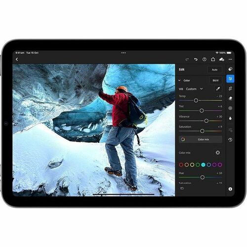 Tableta Apple iPad mini (2024) A2995, 8.3 pulgadas, procesador Apple A17 Pro, 8GB RAM, almacenamiento 256GB, iPadOS, Tecnología True Tone, WiFi, Bluetooth, 1 año de garantía