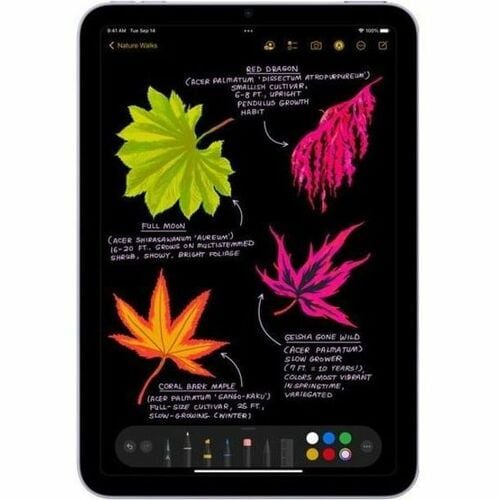 Tableta Apple iPad mini, 8.3 pulgadas, procesador A17 Pro, 8GB RAM, Almacenamiento 128GB, iPadOS, Wifi, Bluetooth, 1 año de garantía