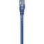 Cable de red Patch categoría 6 RJ45 de 1.0 metros (1 pie) color azul