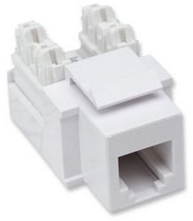 Jack Intellinet rj11/rj12 para teléfono, blanco