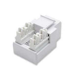 Jack Intellinet rj11/rj12 para teléfono, blanco