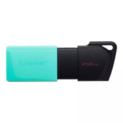 Memoria Flash Kingston de 256gb