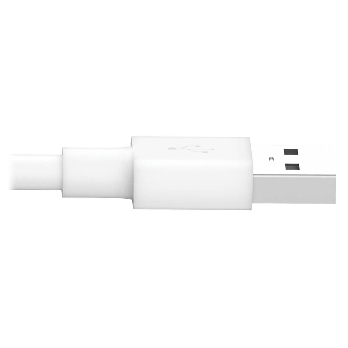 Cable de Carga Certificado MFi USB Tripp Lite M100-010-WH, A Macho - Lightning Macho, 3.05 Metros, Blanco, para iPod/iPhone/iPad