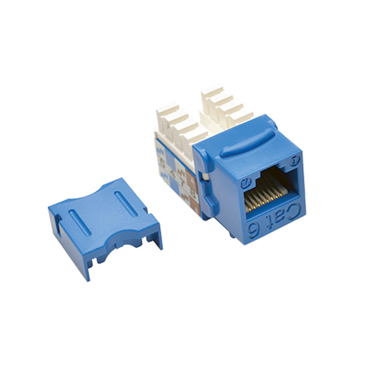 Jack Tripp Lite N238-001-BL, Cat6/Cat5e, Tipo Punch Down 110, RJ-45 Hembra, Azul