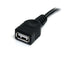 Cable de extensión alargador  USB A macho a USB A hembra 0.9m StarTech.com