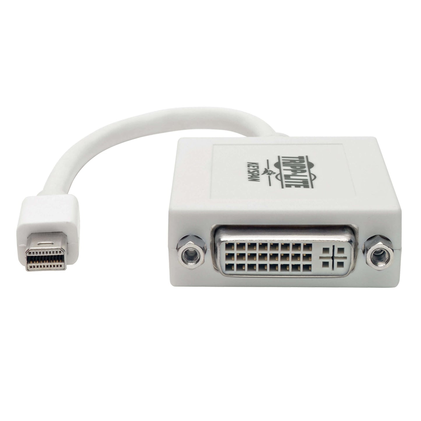 Cable Adaptador Tripp Lite P137-06N-DVI, Mini Displayport Macho - DVI-I Hembra, 15cm, Blanco, para Mac