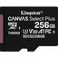 Micro SD Con Adaptador Cl10, 256GB, A1.